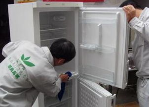 大連創業新選擇 開設綠之源家政保潔店的機遇與挑戰